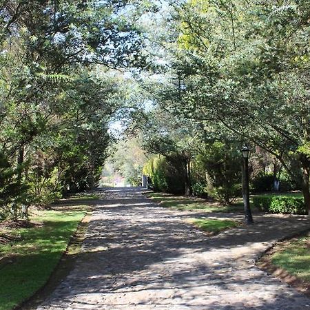 فندق هواسكا دي أوكامبوفي  Rancho San Antonio المظهر الخارجي الصورة