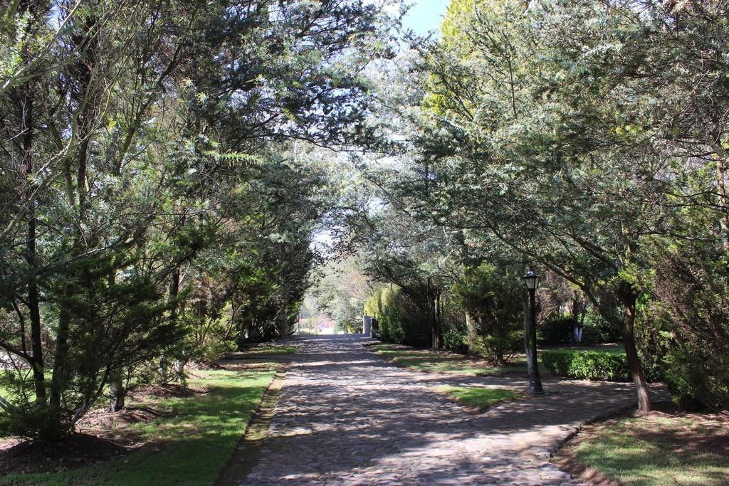 فندق هواسكا دي أوكامبوفي  Rancho San Antonio المظهر الخارجي الصورة