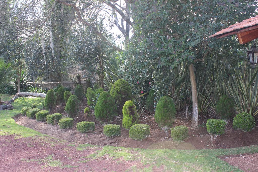 فندق هواسكا دي أوكامبوفي  Rancho San Antonio المظهر الخارجي الصورة