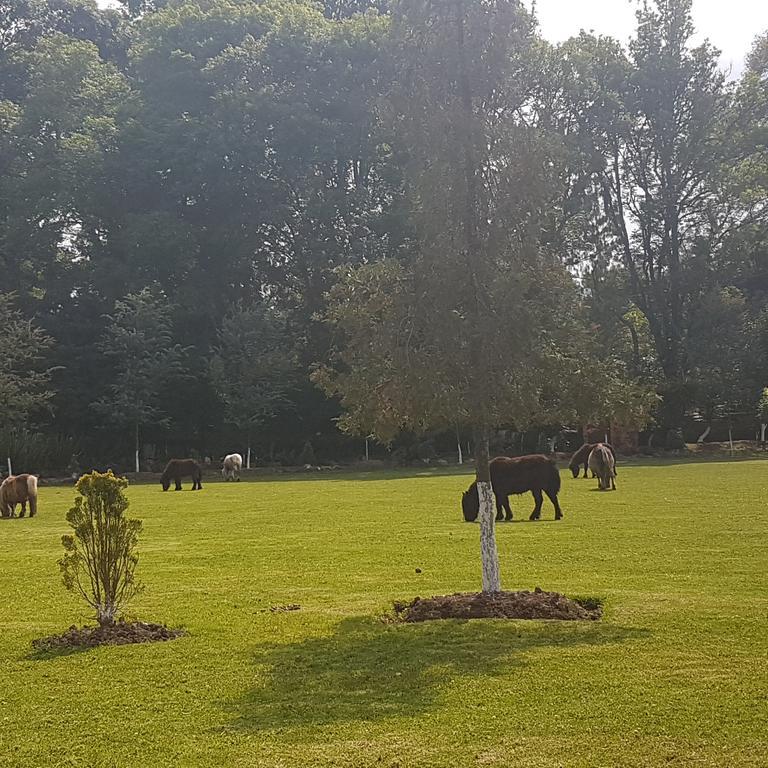 فندق هواسكا دي أوكامبوفي  Rancho San Antonio المظهر الخارجي الصورة