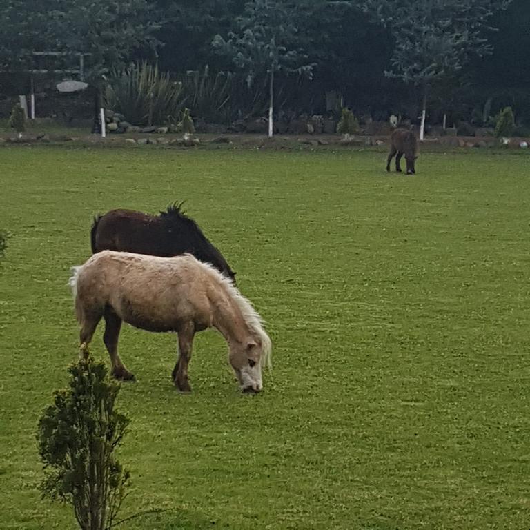 فندق هواسكا دي أوكامبوفي  Rancho San Antonio المظهر الخارجي الصورة