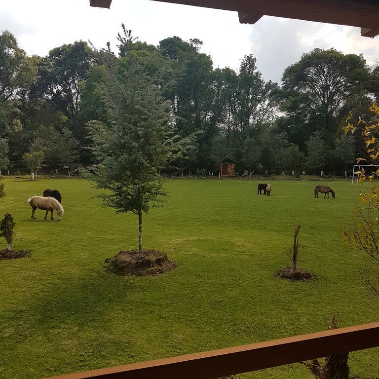 فندق هواسكا دي أوكامبوفي  Rancho San Antonio المظهر الخارجي الصورة