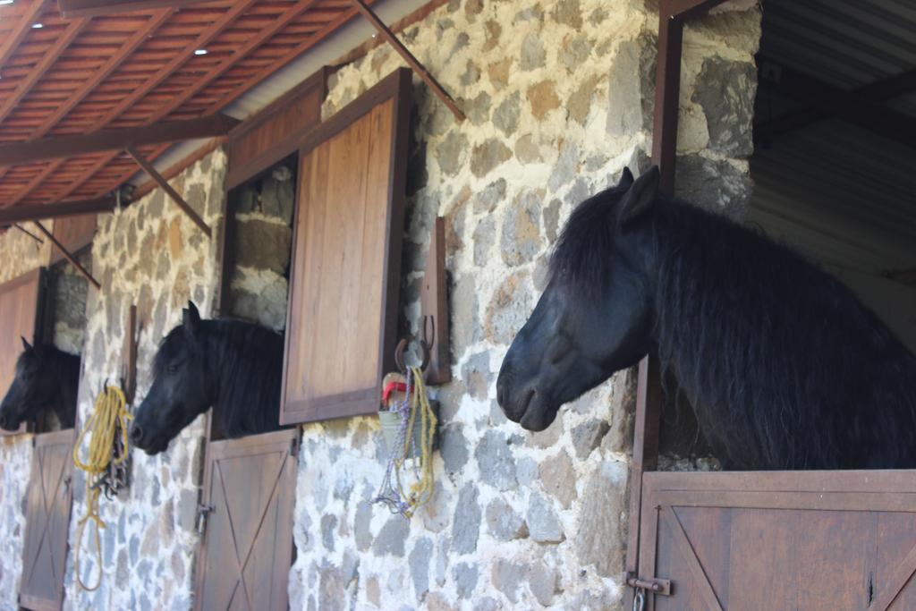 فندق هواسكا دي أوكامبوفي  Rancho San Antonio المظهر الخارجي الصورة