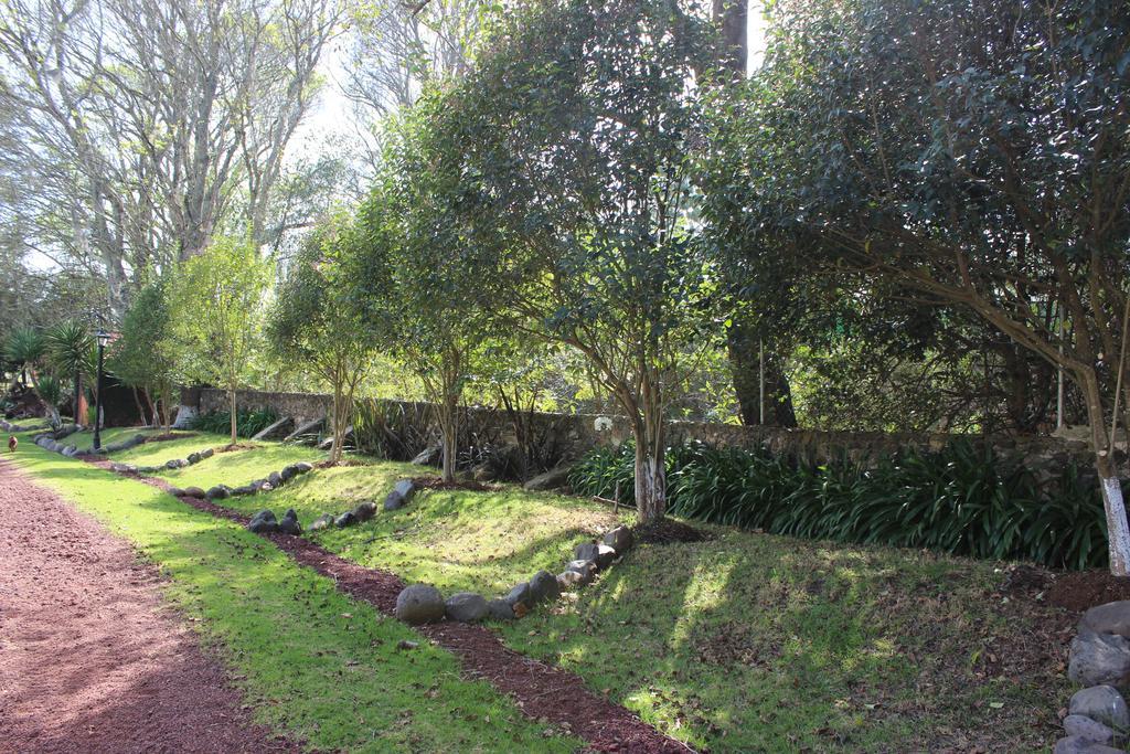فندق هواسكا دي أوكامبوفي  Rancho San Antonio المظهر الخارجي الصورة