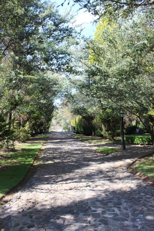 فندق هواسكا دي أوكامبوفي  Rancho San Antonio المظهر الخارجي الصورة